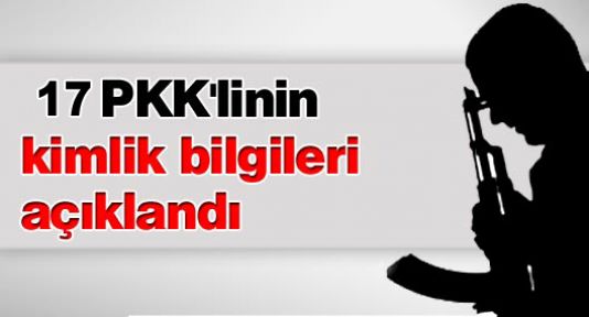 Yaşamını yitiren 17 PKK'linin kimlik bilgileri açıklandı
