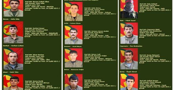 Yaşamını yitiren 1'i Şemdinlili 13 PKK'linin kimlik bilgileri açıklandı