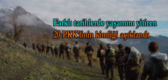 Yaşamını yitiren 20 PKK'linin kimliği açıklandı