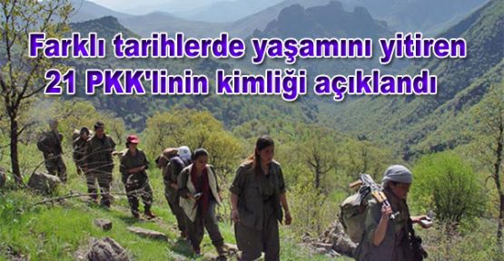 Yaşamını yitiren 21 PKK'linin kimliği açıklandı