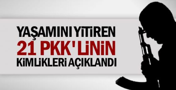 Yaşamını yitiren 21 PKK'linin kimliği açıklandı