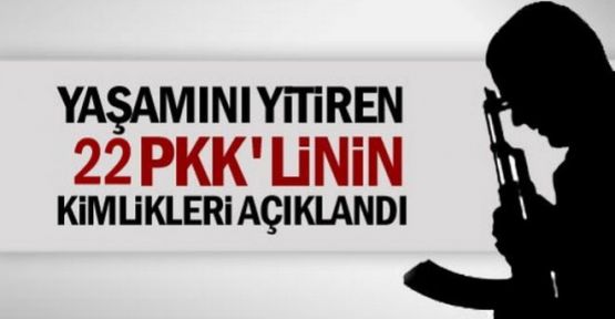 Yaşamını yitiren 22 PKK'linin kimliği açıklandı