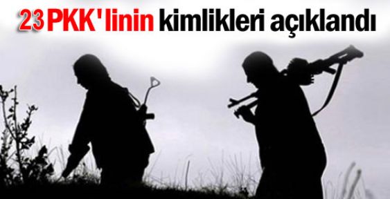 Yaşamını yitiren 23 PKK'linin kimliği açıklandı