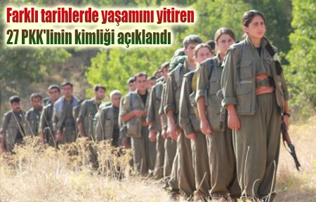 Yaşamını yitiren 27 PKK'linin kimliği açıklandı
