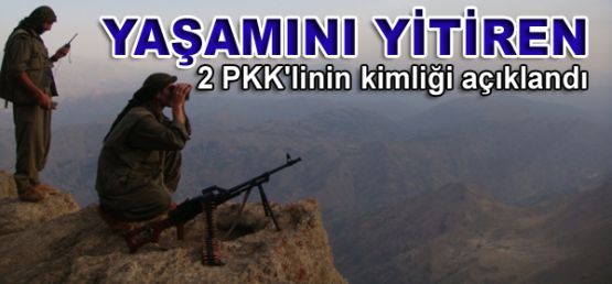 Yaşamını yitiren 2 PKK'linin kimliği açıklandı 
