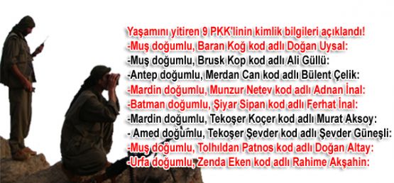 Yaşamını yitiren 9 PKK'linin kimliği açıklandı