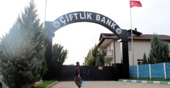 Yeni bir Çiftlik Bank dolandırıcılığı: ÇiftliğimNette