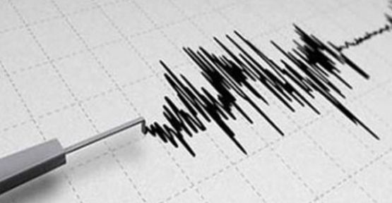 Yeni Zelanda'da 7.8 şiddetinde deprem