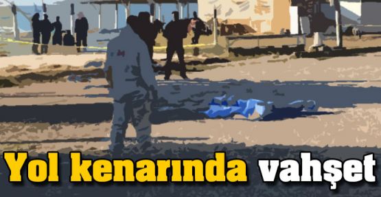 Yol kenarında vahşet!