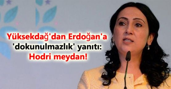 Yüksekdağ'dan Erdoğan'a 'dokunulmazlık' yanıtı: Hodri meydan!