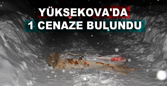 Yüksekova'da 1 cenaze bulundu