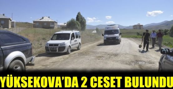Yüksekova'da sırt sırta bağlanmış 2 erkek cesedi bulundu!