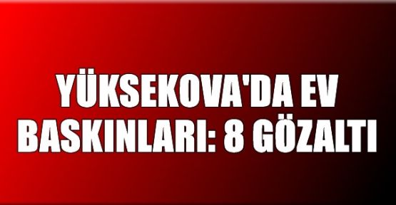Yüksekova'da 8 gözaltı