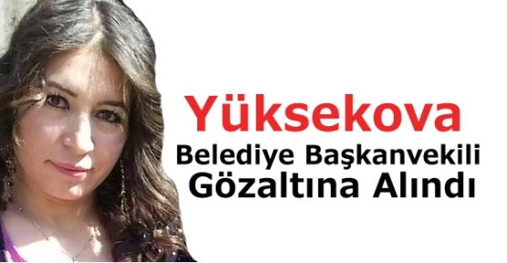 Yüksekova'da Belediye Eş Başkanvekili ve 2 kişi gözaltına alındı