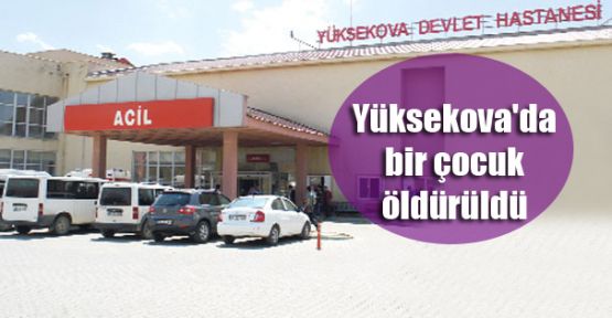 Yüksekova'da bir çocuk öldürüldü
