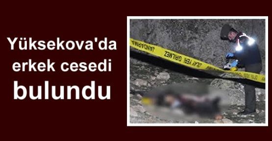 Yüksekova'da bir erkek cesedi bulundu!