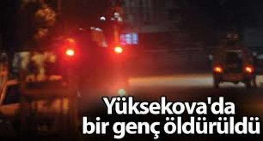 Yüksekova'da bir genç açılan ateş sonucu hayatını kaybetti