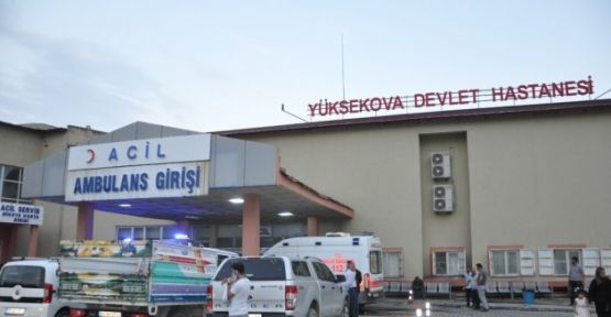 Yüksekova'da bir kişi babasını öldürdü, annesini yaraladı