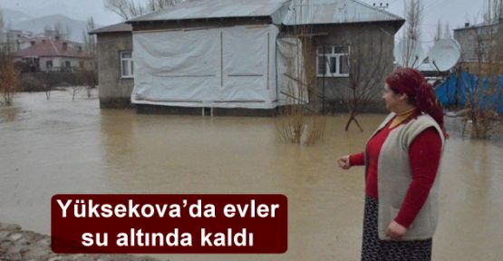 Yüksekova'da evler su altında kaldı
