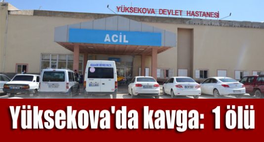 Yüksekova'da kavga: 1 ölü