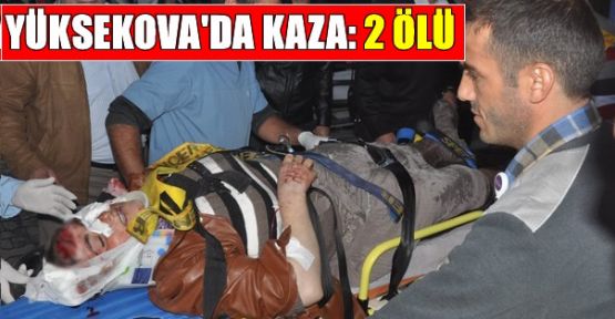 Yüksekova'da kaza: 2 ölü, 9 Yaralı