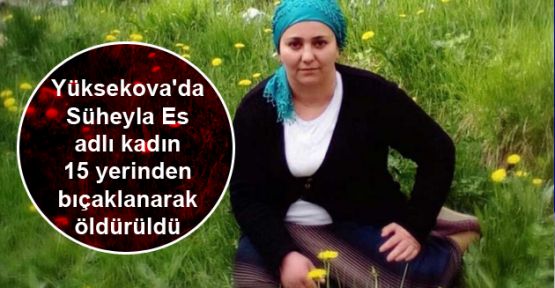 Yüksekova'da Süheyla Es adlı kadın bıçaklanarak öldürüldü