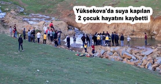 Yüksekova'da suya kapılan 2 çocuk hayatını kaybetti