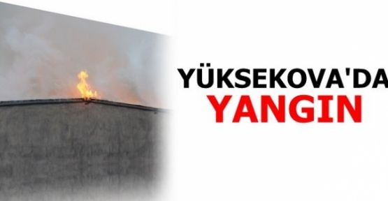 Yüksekova'da Yangın