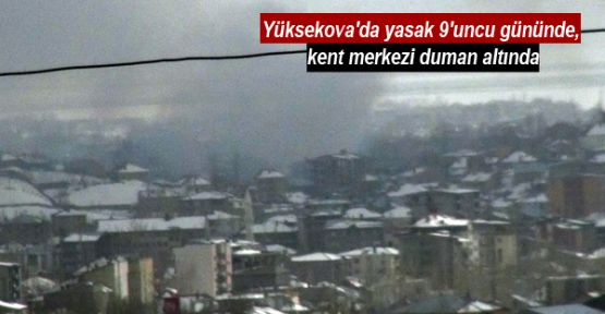 Yüksekova'da yasak 9'uncu gününde, kent merkezi duman altında