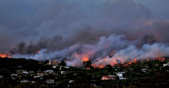 Yunanistan'da orman yangını: En az 50 ölü
