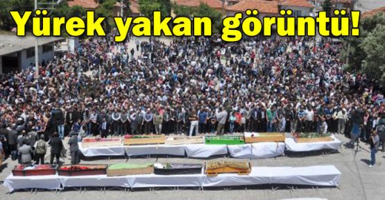 Yürek yakan görüntü!