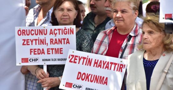 Zeytinlik düzenlemesi geri çekildi!