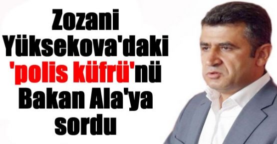 Zozani Yüksekova'daki 'polis küfrü'nü Bakan Ala'ya sordu