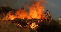 Şemdinli'de orman yangınına müdahale edildi