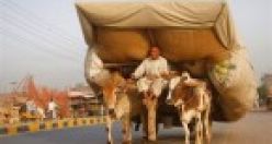 Dikkat aşırı yük var