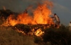 Şemdinli'de orman yangınına müdahale edildi 