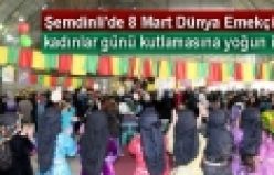 Şemdinli'de kadınlar günü kutlaması