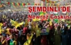 Şemdinli'de Newroz Coşkusu