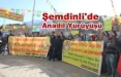 Şemdinli'de Anadil Yürüyüşü
