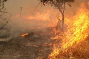 Şemdinli'de top atışları, orman yangını