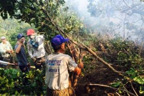 Şemdinli'de orman yangını kontrol altına alınıyor