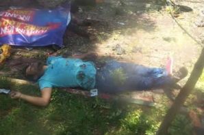 Suruç'ta patlama:'50'den fazla ölü var'