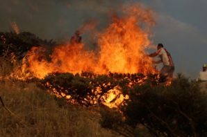 Şemdinli'de orman yangınına müdahale edildi