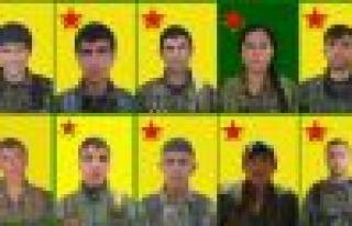 11 YPG-YPJ'linin kimliği açıklandı