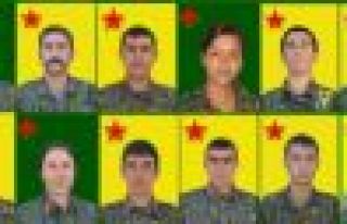 12 YPG / YPJ savaşçısının kimliği açıklandı