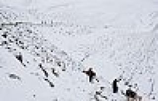 13 kayıp mülteciden birisi ölü bulundu