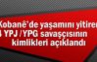 14 YPG/YPJ'li savaşçının kimlik bilgileri açıklandı