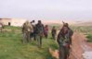 15 gund û 2 girên stratîjîk hatin rizgarkirin