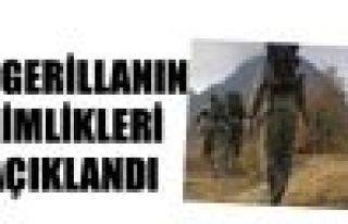 18 PKK'linin kimlikleri açıklandı