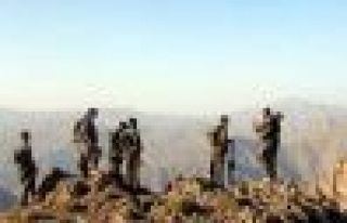 1994 Yılında hayatını kaybeden bir PKK'linin kimliği...